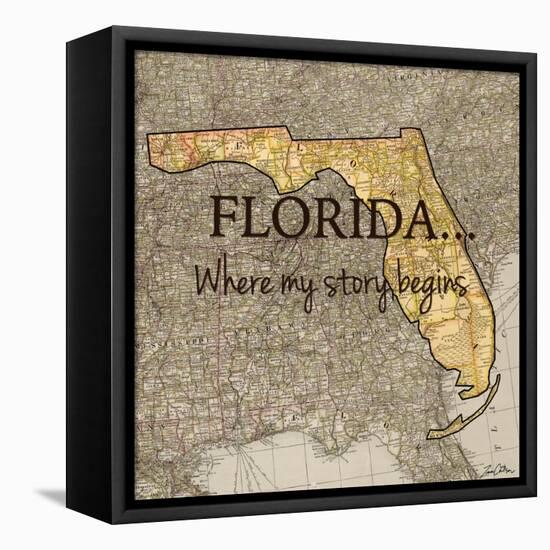 Story Florida-Tina Carlson-Framed Stretched Canvas