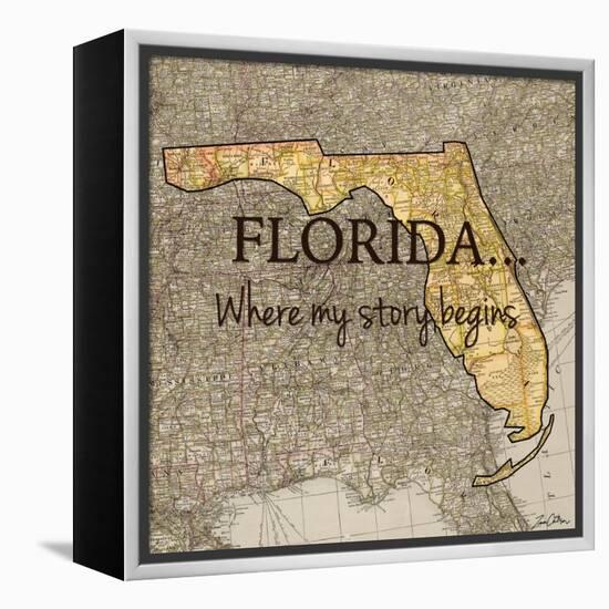 Story Florida-Tina Carlson-Framed Stretched Canvas