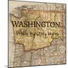 Story Washington-Tina Carlson-Mounted Art Print