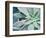 Storybook Succulent III-Jason Johnson-Framed Photographic Print