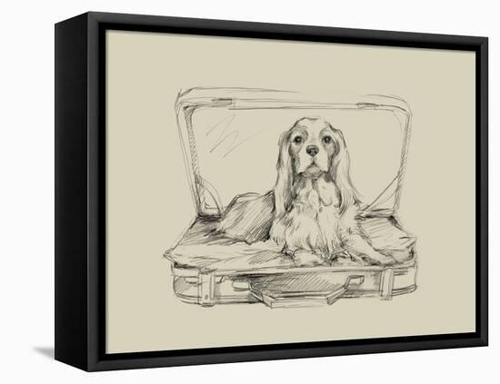 Stowaway IV-Ethan Harper-Framed Stretched Canvas