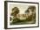 Stowe Park, Buckinghamshiere, Home of the Duke and Marquis of Buckingham and Chandos, C1880-AF Lydon-Framed Giclee Print