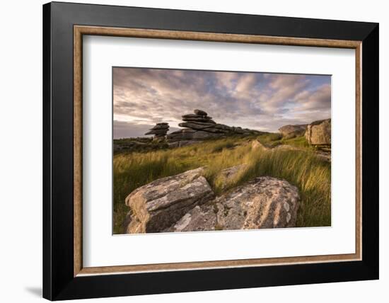 Stowe's Hill in evening light, Bodmin Moor, Cornwall, UK-Ross Hoddinott-Framed Photographic Print