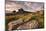 Stowe's Hill in evening light, Bodmin Moor, Cornwall, UK-Ross Hoddinott-Mounted Photographic Print