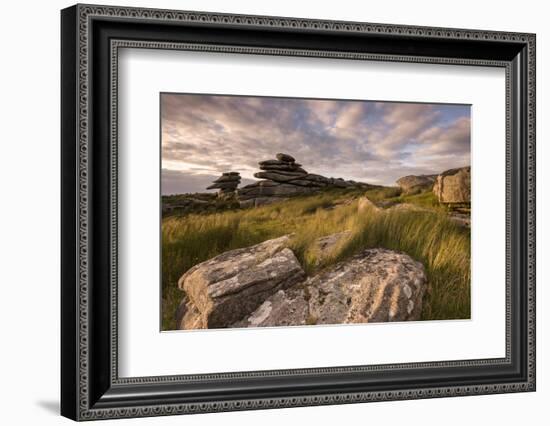 Stowe's Hill in evening light, Bodmin Moor, Cornwall, UK-Ross Hoddinott-Framed Photographic Print