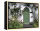 Stradbally, Ireland-null-Framed Premier Image Canvas