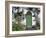 Stradbally, Ireland-null-Framed Photographic Print