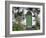 Stradbally, Ireland-null-Framed Photographic Print