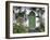 Stradbally, Ireland-null-Framed Photographic Print