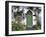 Stradbally, Ireland-null-Framed Photographic Print