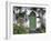 Stradbally, Ireland-null-Framed Photographic Print