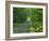 Straight Empty Rural Road Through Woodland Trees, Forest of Nevers, Burgundy, France, Europe-Michael Busselle-Framed Photographic Print