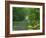 Straight Empty Rural Road Through Woodland Trees, Forest of Nevers, Burgundy, France, Europe-Michael Busselle-Framed Photographic Print