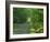 Straight Empty Rural Road Through Woodland Trees, Forest of Nevers, Burgundy, France, Europe-Michael Busselle-Framed Photographic Print