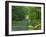 Straight Empty Rural Road Through Woodland Trees, Forest of Nevers, Burgundy, France, Europe-Michael Busselle-Framed Photographic Print