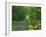 Straight Empty Rural Road Through Woodland Trees, Forest of Nevers, Burgundy, France, Europe-Michael Busselle-Framed Photographic Print