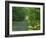 Straight Empty Rural Road Through Woodland Trees, Forest of Nevers, Burgundy, France, Europe-Michael Busselle-Framed Photographic Print