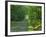 Straight Empty Rural Road Through Woodland Trees, Forest of Nevers, Burgundy, France, Europe-Michael Busselle-Framed Photographic Print