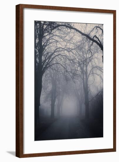 Straight Foggy Passage Surrounded by Dark Trees-vkovalcik-Framed Photographic Print