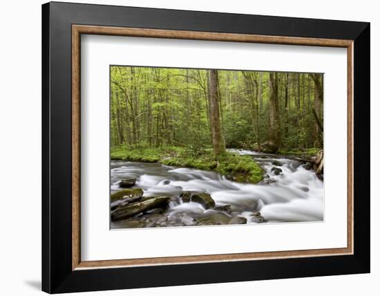 Straight Fork Creek in Spring, Great Smoky Mountains National Park, North Carolina-Richard and Susan Day-Framed Photographic Print