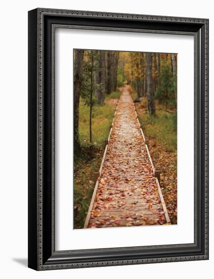 Straight Path-Michael Hudson-Framed Giclee Print