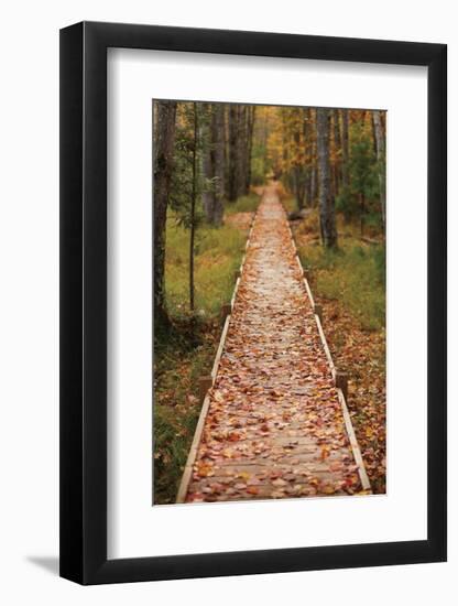 Straight Path-Michael Hudson-Framed Art Print