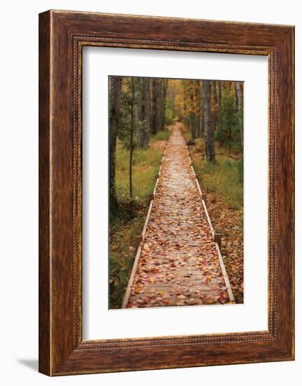 Straight Path-Michael Hudson-Framed Art Print