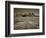 Straight Road Cutting Through Landscape of Monument Valley, Utah, USA-Gavin Hellier-Framed Photographic Print