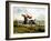 Straight Through the Fence, from 'Qualified Horses and Unqualified Riders', 1815-Henry Thomas Alken-Framed Giclee Print