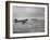 Stranded Planes at La Guardia Airport in Water During Violent Storm-Alfred Eisenstaedt-Framed Photographic Print