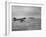 Stranded Planes at La Guardia Airport in Water During Violent Storm-Alfred Eisenstaedt-Framed Photographic Print