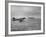 Stranded Planes at La Guardia Airport in Water During Violent Storm-Alfred Eisenstaedt-Framed Photographic Print