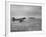 Stranded Planes at La Guardia Airport in Water During Violent Storm-Alfred Eisenstaedt-Framed Photographic Print