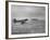 Stranded Planes at La Guardia Airport in Water During Violent Storm-Alfred Eisenstaedt-Framed Photographic Print