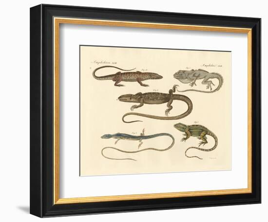 Strange Amphibians-null-Framed Giclee Print