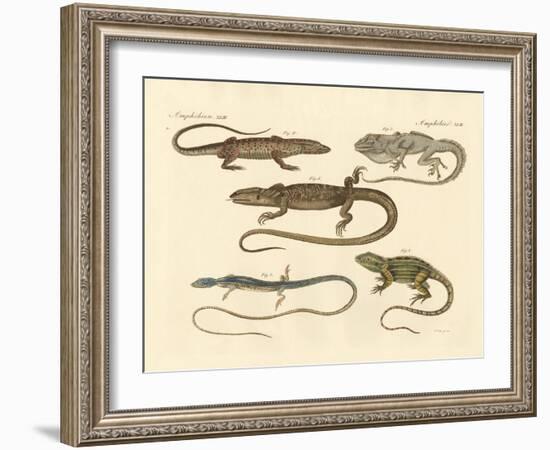 Strange Amphibians-null-Framed Giclee Print