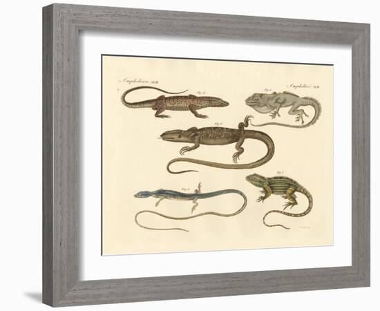 Strange Amphibians-null-Framed Giclee Print