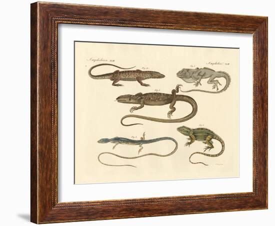 Strange Amphibians-null-Framed Giclee Print