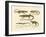 Strange Amphibians-null-Framed Giclee Print