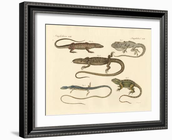 Strange Amphibians-null-Framed Giclee Print