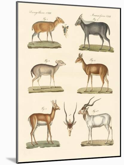 Strange Antelopes-null-Mounted Giclee Print