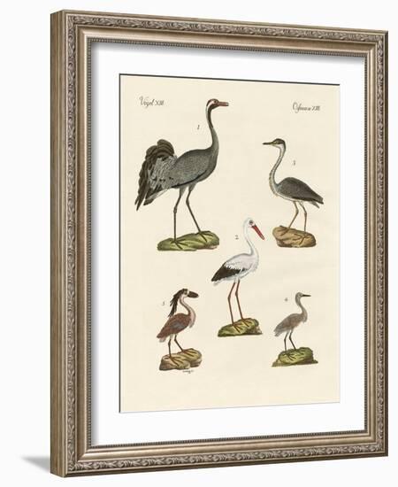 Strange Beach Birds-null-Framed Giclee Print