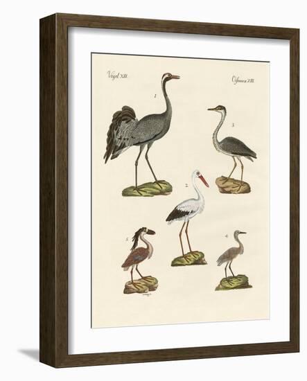 Strange Beach Birds-null-Framed Giclee Print