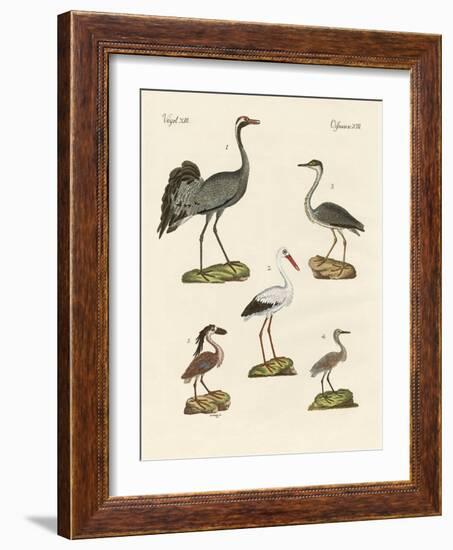 Strange Beach Birds-null-Framed Giclee Print