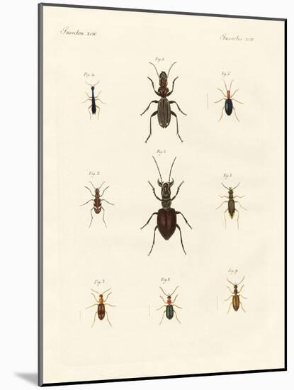 Strange Beetles-null-Mounted Giclee Print