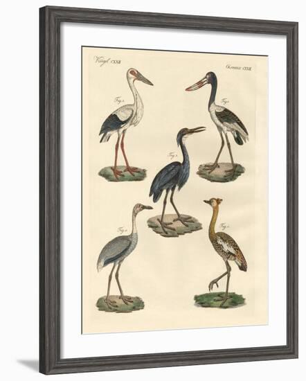 Strange Birds-null-Framed Giclee Print