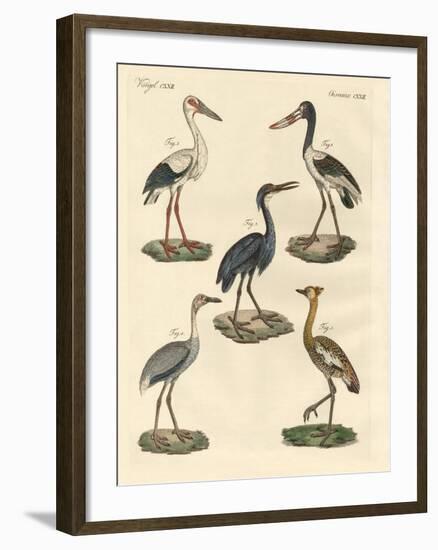 Strange Birds-null-Framed Giclee Print