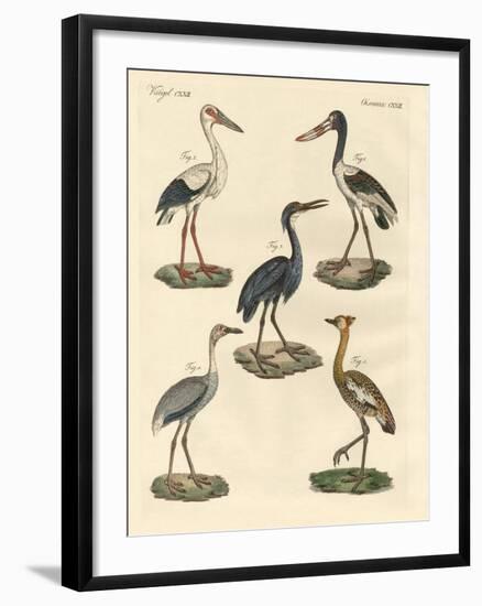 Strange Birds-null-Framed Giclee Print