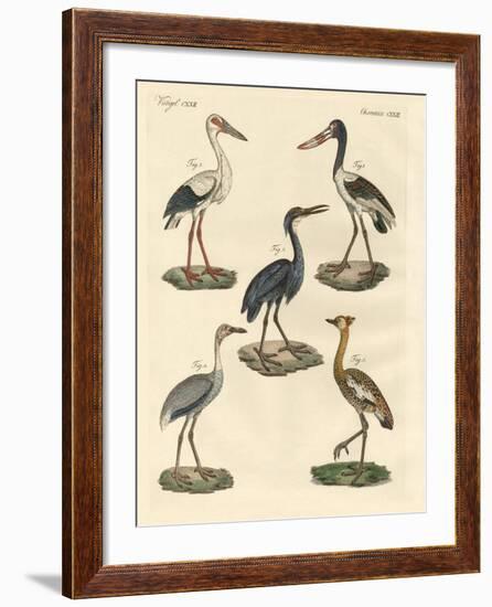 Strange Birds-null-Framed Giclee Print