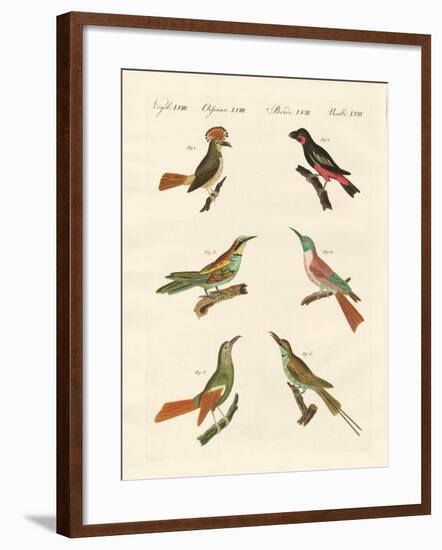 Strange Birds-null-Framed Giclee Print